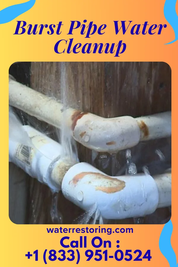 Burst Pipe Water Cleanup in Montgomery, LA