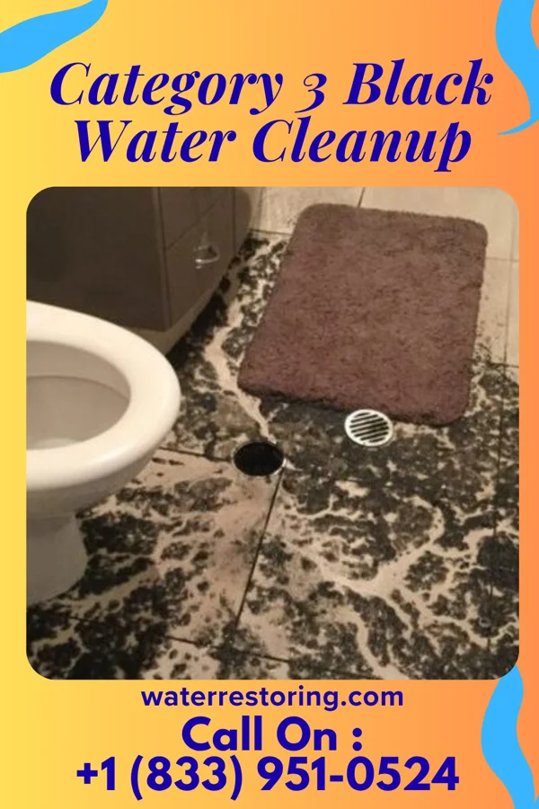 Category 3 Black Water Cleanup in Montgomery, LA