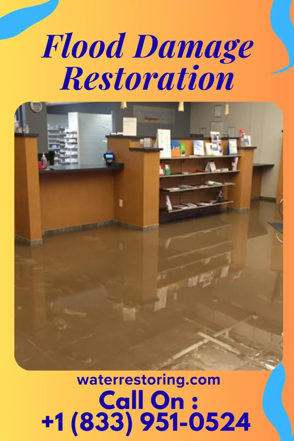 Flood Damage Restoration in Montgomery, LA
