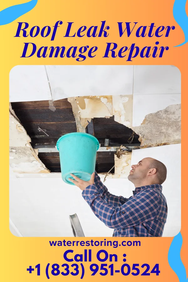 Roof Leak Water Damage Repair in Montgomery, LA