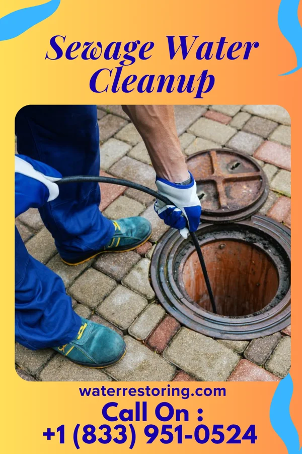 Sewage Water Cleanup in Montgomery, LA
